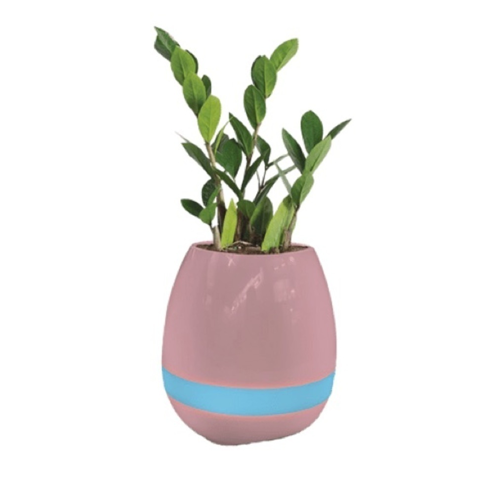 NEW Cylo Bluetooth Speaker Planter